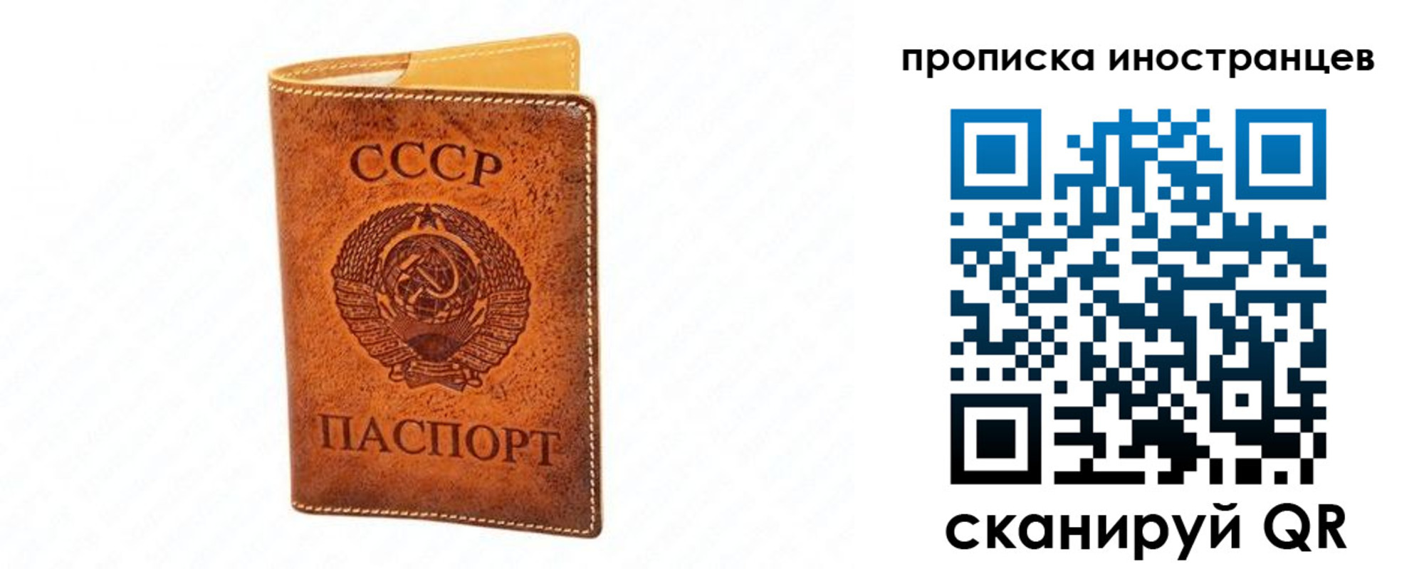 прописка для школы в Жердевке